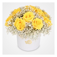 Rona Roses Flower Box